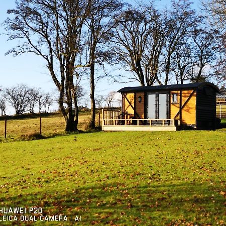 Villa Pen-Rhos Luxury Glamping "Cuckoo'S Nest" Llandrindod Wells Esterno foto