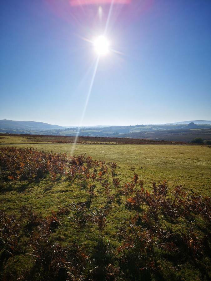 Villa Pen-Rhos Luxury Glamping "Cuckoo'S Nest" Llandrindod Wells Esterno foto