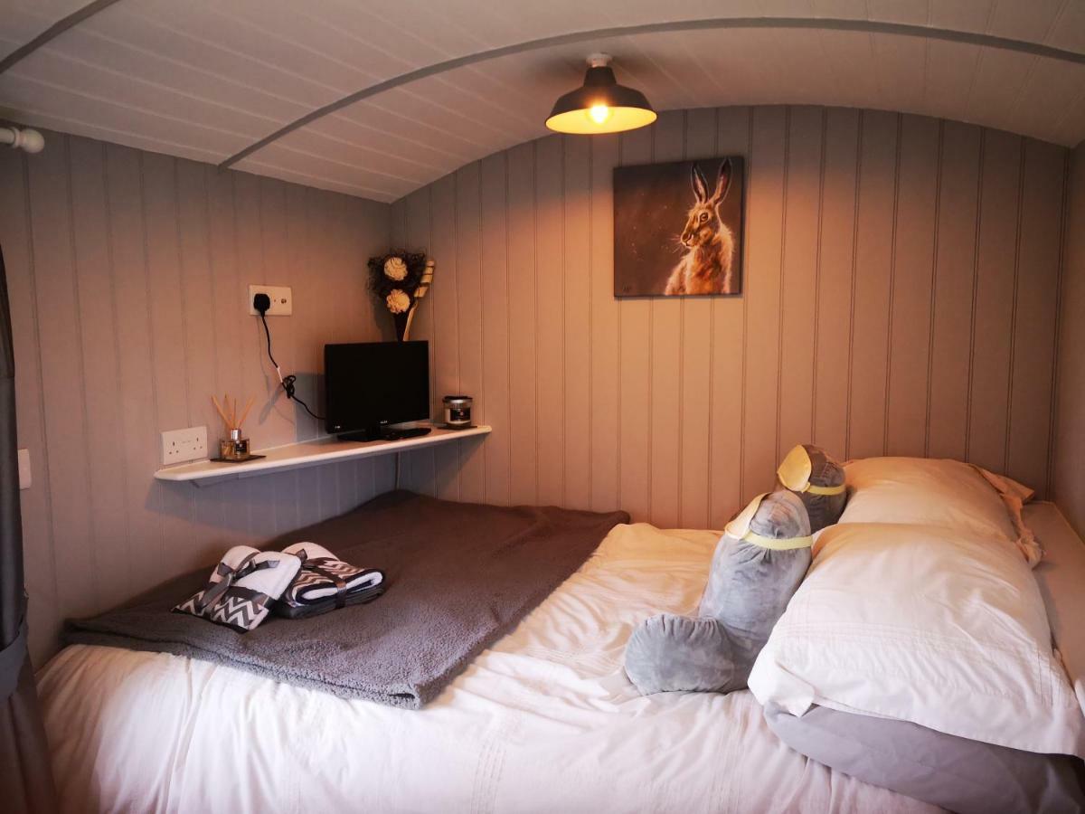 Villa Pen-Rhos Luxury Glamping "Cuckoo'S Nest" Llandrindod Wells Esterno foto