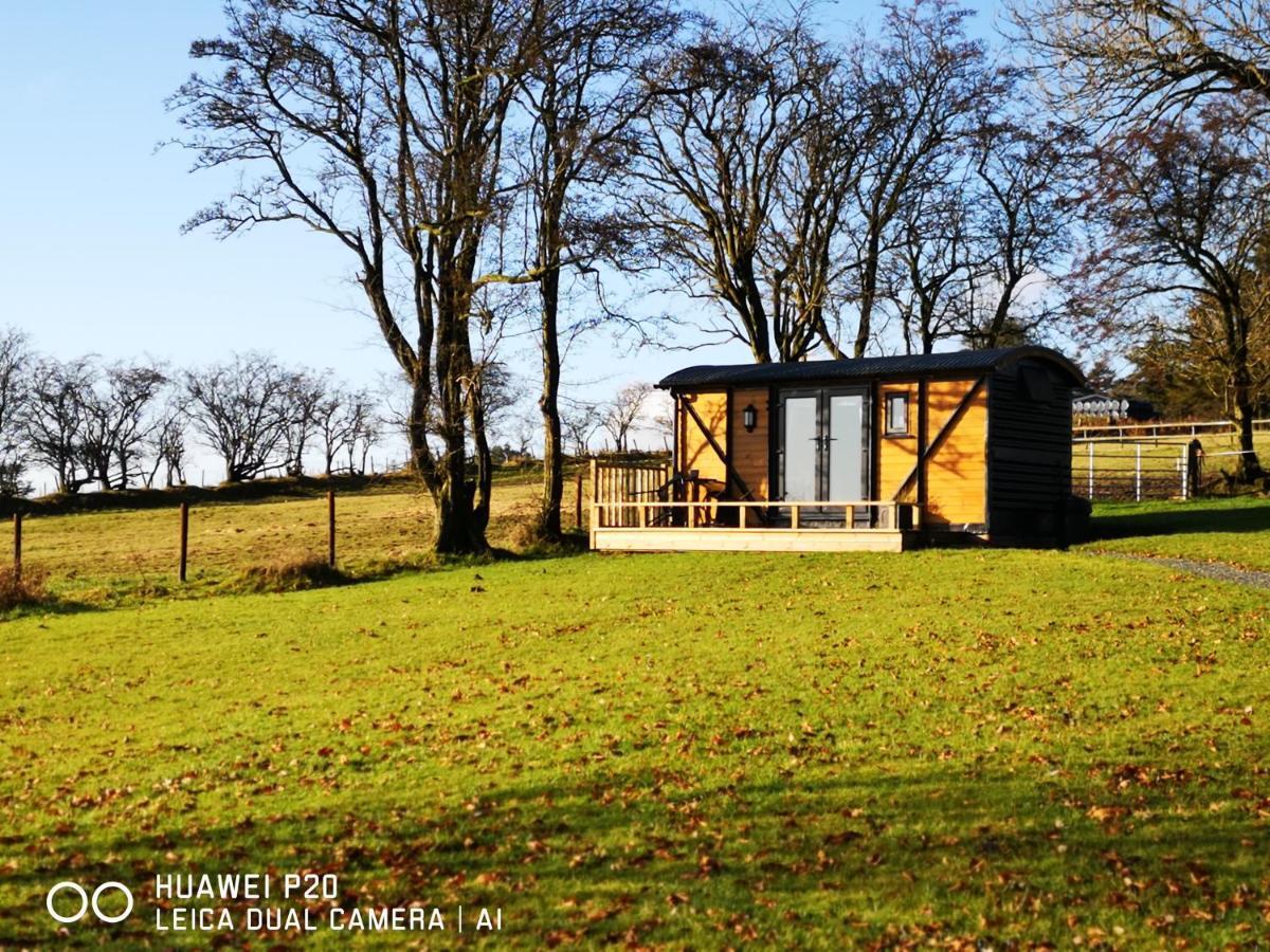 Villa Pen-Rhos Luxury Glamping "Cuckoo'S Nest" Llandrindod Wells Esterno foto
